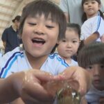 レス1番のリンク先のサムネイル画像