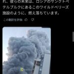 レス4番の画像1