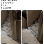 レス1番の画像4