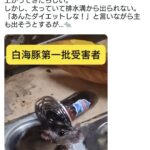 レス1番の画像1