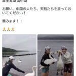 レス1番の画像1