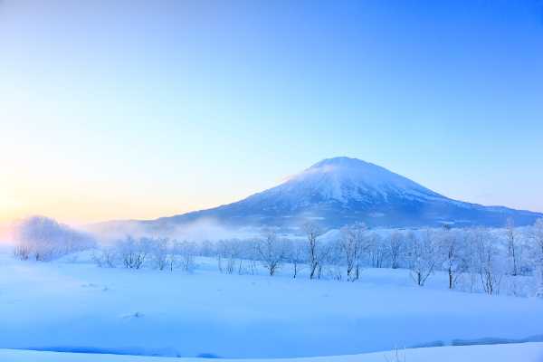記事サムネイル