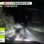 レス1番のリンク先のサムネイル画像