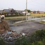 レス1番のリンク先のサムネイル画像