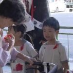 レス1番のリンク先のサムネイル画像